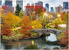 Fall in the City H2348U-AA